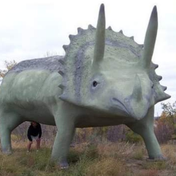 Meet your Posher, Marta - Picture 1 of 1